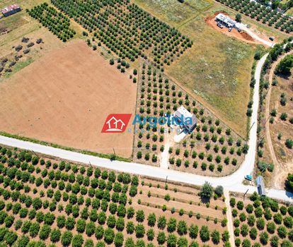 Αγροτεμάχια 4.000 τ.μ. πρός πώληση