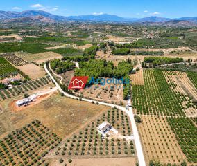 Αγροτεμάχια 4.000 τ.μ. πρός πώληση, Αργολίδα, Ναύπλιο-thumb-1