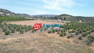 Αγροτεμάχια 4.000 τ.μ. για πώληση, Αργολίδα, Ναύπλιο-thumb-7