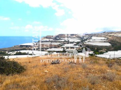 Αγροτεμάχια 12.233τ.μ. για πώληση-Ιεράπετρα » Κοπάνες