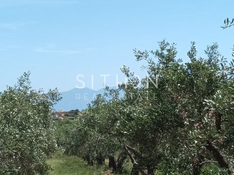 Αγροτεμάχια 1.333 τ.μ. προς πώληση