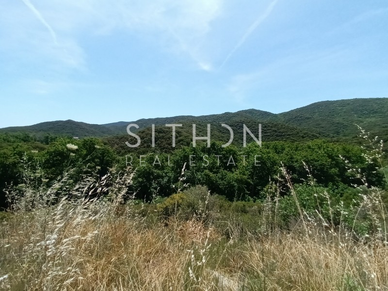 Αγροτεμάχια 5.689 τ.μ. προς πώληση, Σάρτη