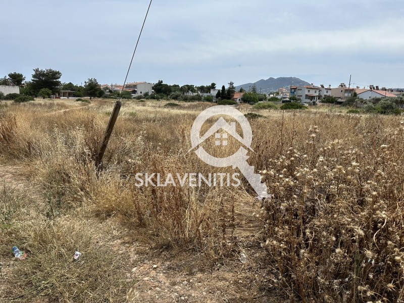 Οικόπεδο 1.400 τ.μ. πρός πώληση, Αθήνα - Ανατολικά Προάστια, Αρτέμιδα (λούτσα)