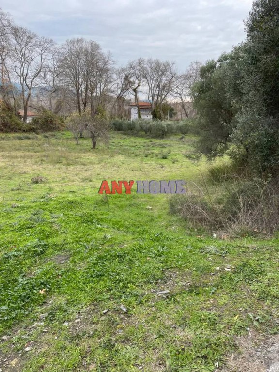 Αγροτεμάχια 1.800 τ.μ. προς πώληση, Τριπόταμος Σιθωνίας