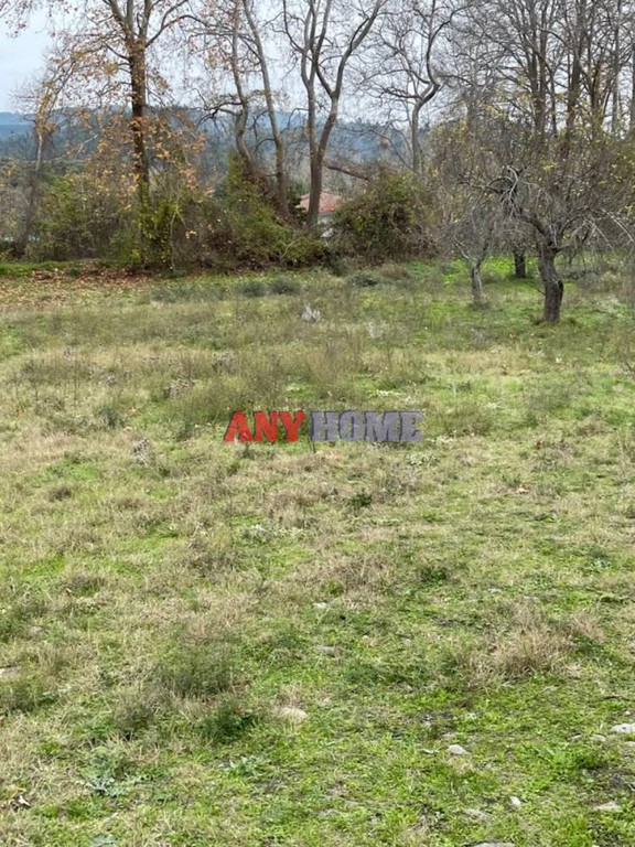 Αγροτεμάχια 1.800 τ.μ. προς πώληση, Τριπόταμος Σιθωνίας