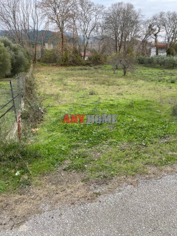 Αγροτεμάχια 1.800 τ.μ. προς πώληση, Τριπόταμος Σιθωνίας