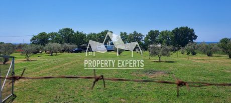 Parcel 4.000sqm for sale-Alexandroupoli » Mesimvria