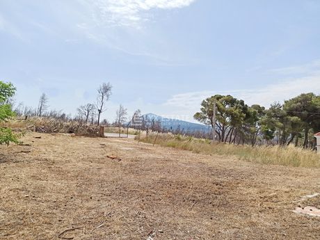 Land plot 450sqm for sale-Acharnes » Varimpompi