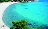 Αγροτεμάχια 5.400τ.μ. για πώληση-Παλλήνη » Παλιούρι