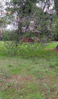 Land plot 620sqm for sale-Drosia