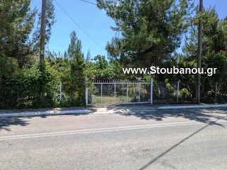 Μονοκατοικία 50 τ.μ. για πώληση