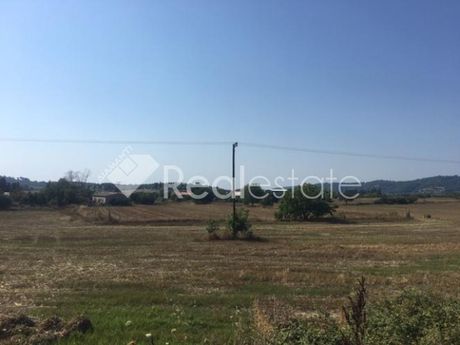 Αγροτεμάχια 5.000τ.μ. για πώληση-Κασσάνδρα » Ποσείδι