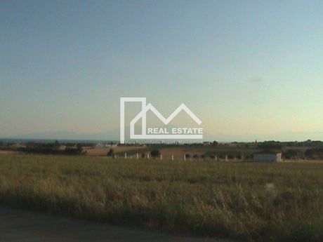Αγροτεμάχια 4.006τ.μ. για πώληση-Επανομή » Κέντρο
