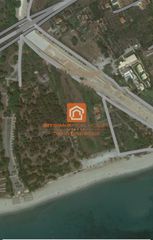 Αγροτεμάχια 11.000 τ.μ. για πώληση