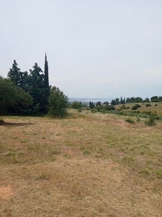 Αγροτεμάχια 4.000 τ.μ. για πώληση, Θεσσαλονίκη - Περιφ/Κοί Δήμοι, Πανόραμα