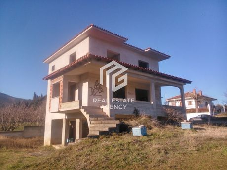 Μεζονέτα 195τ.μ. για πώληση-Έδεσσα » Φλαμουριά