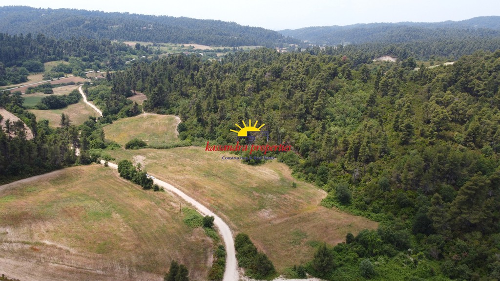 Αγροτεμάχια 16.000 τ.μ. πρός πώληση, Χαλκιδική, Κασσάνδρα