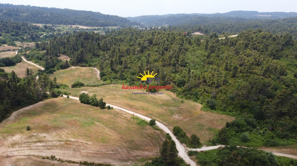 Αγροτεμάχια 16.000 τ.μ. πρός πώληση, Χαλκιδική, Κασσάνδρα