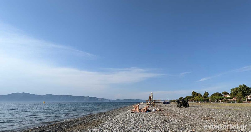 Ξενοδοχείο 557 τ.μ. προς πώληση, Πεύκη Αρτεμισίου