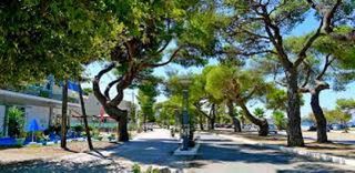 Ξενοδοχείο 557 τ.μ. για πώληση, Εύβοια, Αρτεμίσιο-thumb-5