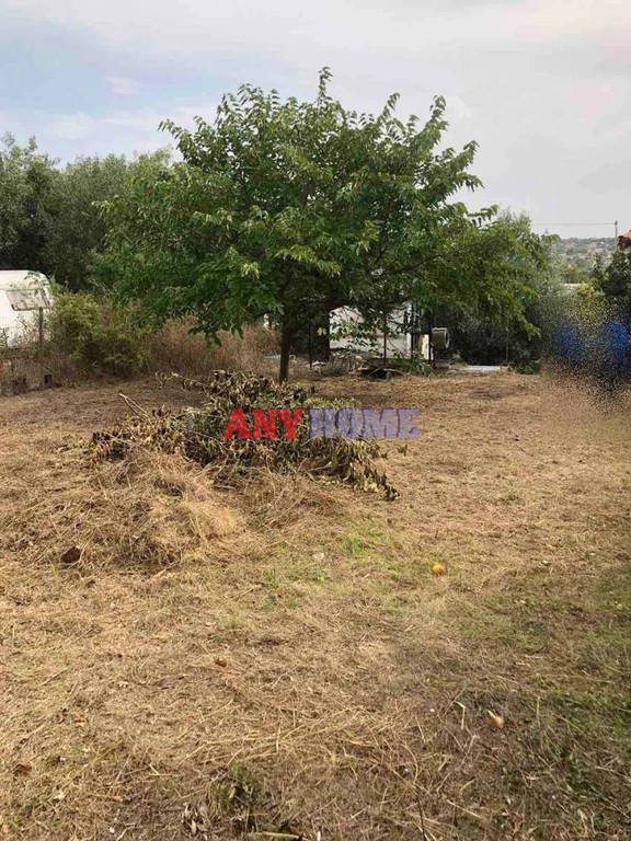 Αγροτεμάχια 268 τ.μ. προς πώληση, Χαλκιδική, Καλλικράτεια