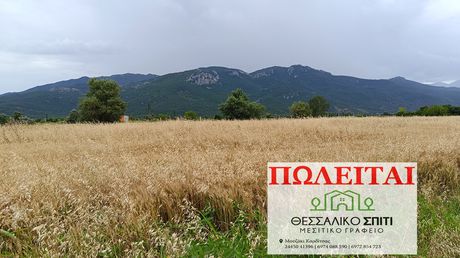 Αγροτεμάχια 11.100 τ.μ. για πώληση