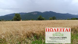 Αγροτεμάχια 11.100 τ.μ. για πώληση