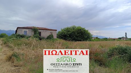 Αγροτεμάχια 6.000 τ.μ. για πώληση