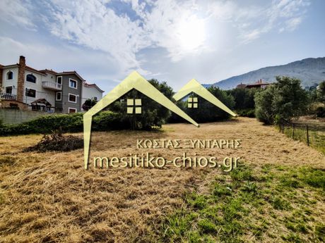 Οικόπεδο 1.978τ.μ. για πώληση-Χίος » Ομηρούπολη