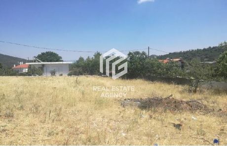 Οικόπεδο 1.362τ.μ. για πώληση-Βίλια » Κέντρο