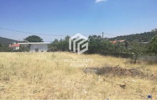 Οικόπεδο 1.362 τ.μ. για πώληση