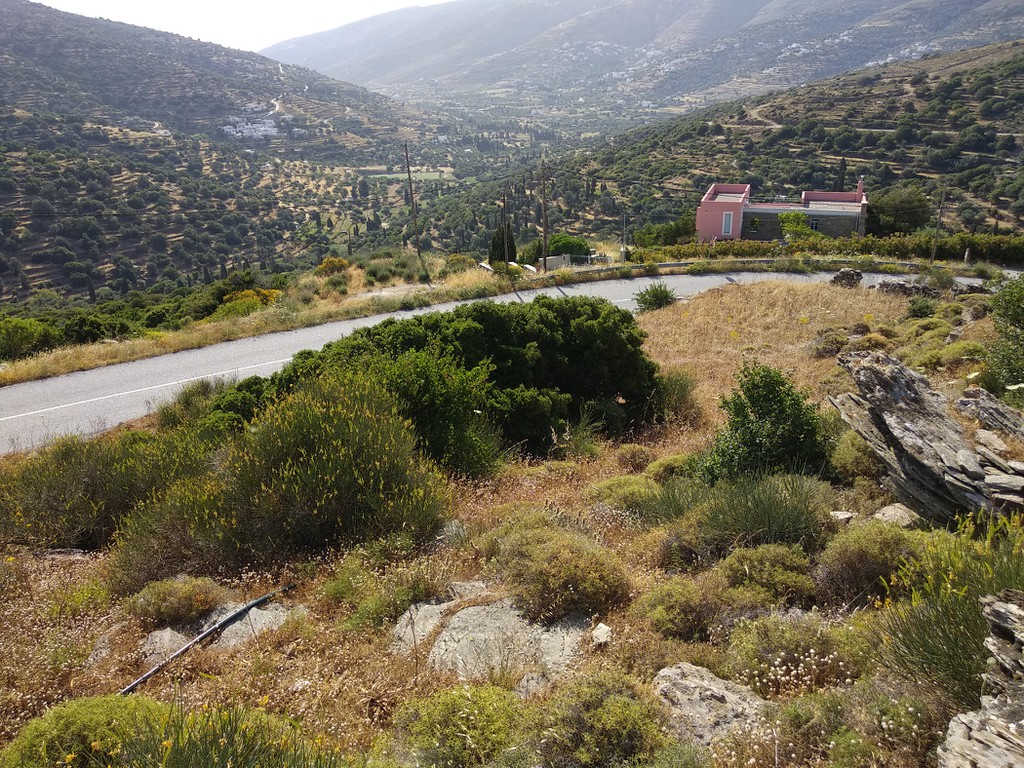 Αγροτεμάχια 5.000 τ.μ. προς πώληση, Κόρθιο