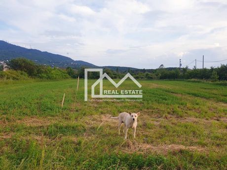 Parcel 6.000 sqm for sale