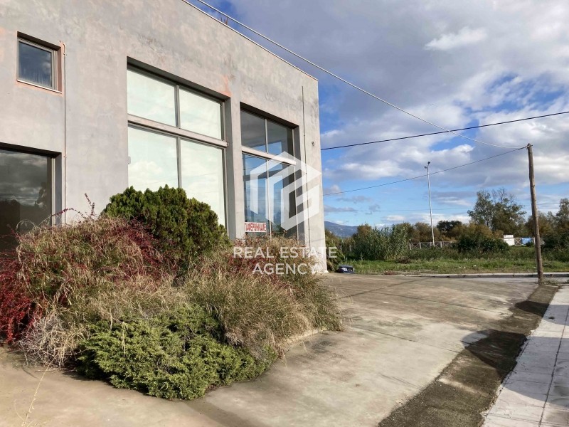 Επιχειρηματικό κτίριο 831 τ.μ. πρός πώληση, Μαγνησία, Βόλος