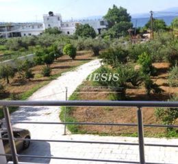 Κτίριο 500 τ.μ. για πώληση, Εύβοια, Αιδηψός-thumb-11