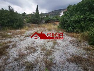 Οικόπεδο 1.000 τ.μ. για πώληση, Μαγνησία, Βόλος-thumb-7