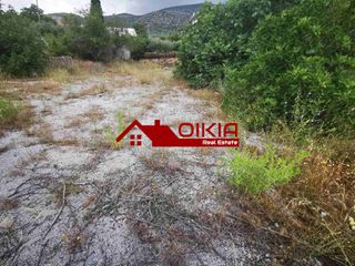 Οικόπεδο 1.000 τ.μ. για πώληση, Μαγνησία, Βόλος-thumb-10