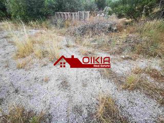 Οικόπεδο 1.000 τ.μ. για πώληση, Μαγνησία, Βόλος-thumb-15
