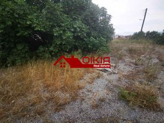 Οικόπεδο 1.000 τ.μ. για πώληση, Μαγνησία, Βόλος-thumb-18