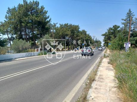Αγροτεμάχια 12.023 τ.μ. για πώληση
