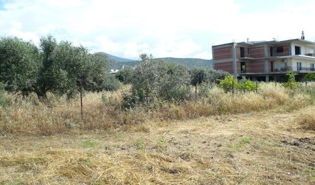 Οικόπεδο 5.500τ.μ. για πώληση-Λαμία » Νέα μαγνησία