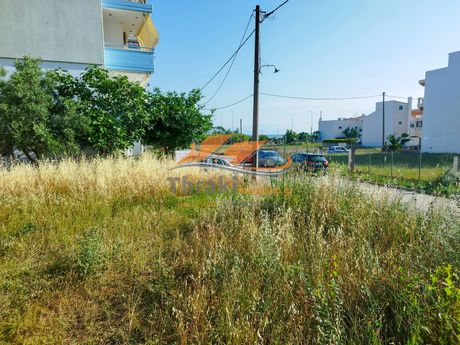 Οικόπεδο 688τ.μ. για πώληση-Αλεξανδρούπολη » Άγιος βασίλειος