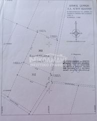 Αγροτεμάχια 4.000 τ.μ. για πώληση