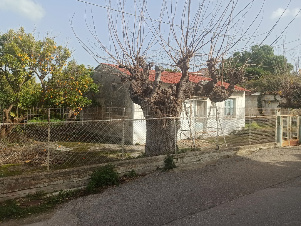 Οικόπεδο 1.000 τ.μ. προς πώληση, Αχαΐα, Πάτρα