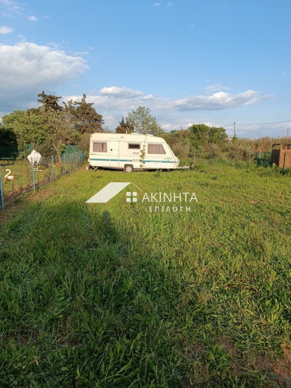 Αγροτεμάχια 350 τ.μ. πρός πώληση, Εβρος, Αλεξανδρούπολη
