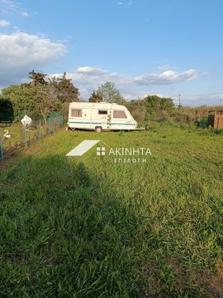 Αγροτεμάχια 350 τ.μ. για πώληση, Εβρος, Αλεξανδρούπολη