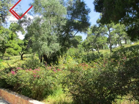 Land plot 485 sqm for sale, Athens - South, Voula