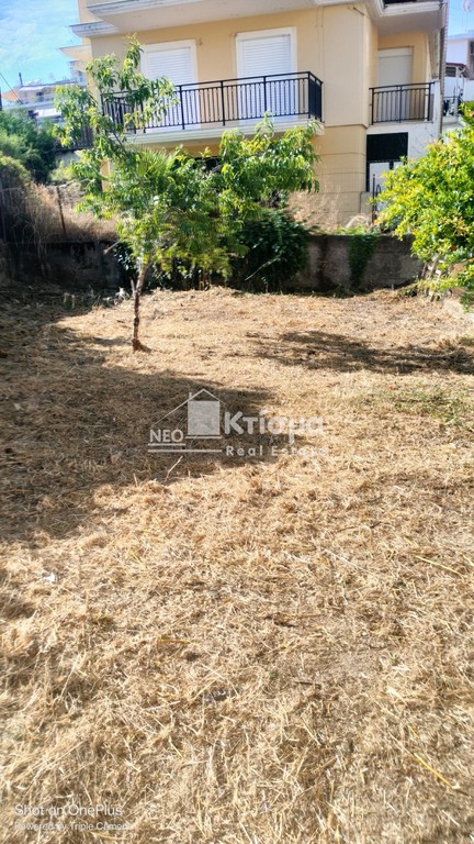 Οικόπεδο 115 τ.μ. πρός πώληση, Ν. Ηλείας, Πύργος