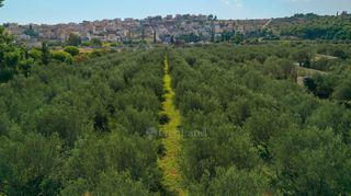 Βίλλα 341 τ.μ. για πώληση, Αργολίδα, Ερμιόνη-thumb-24