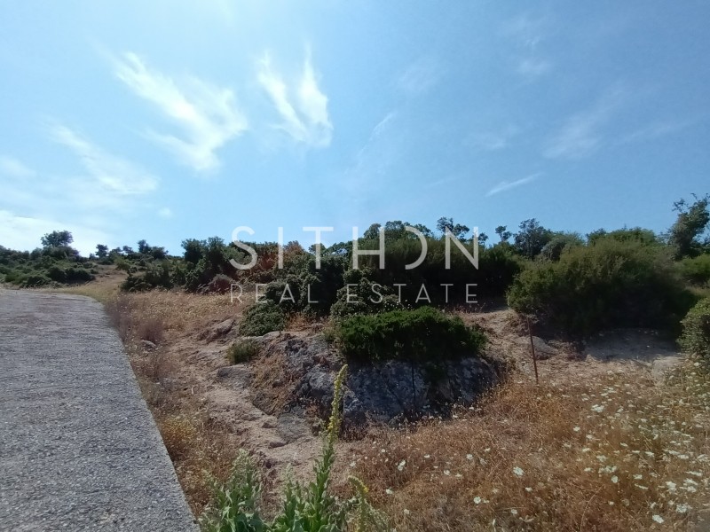 Οικόπεδο 500 τ.μ. προς πώληση, Σκάλα Συκέας